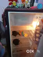 Single door refrigerator