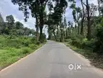 19 CENT PLOT WITH 2-SIDE ROAD FRONTAGE AT KARTIKULAM
