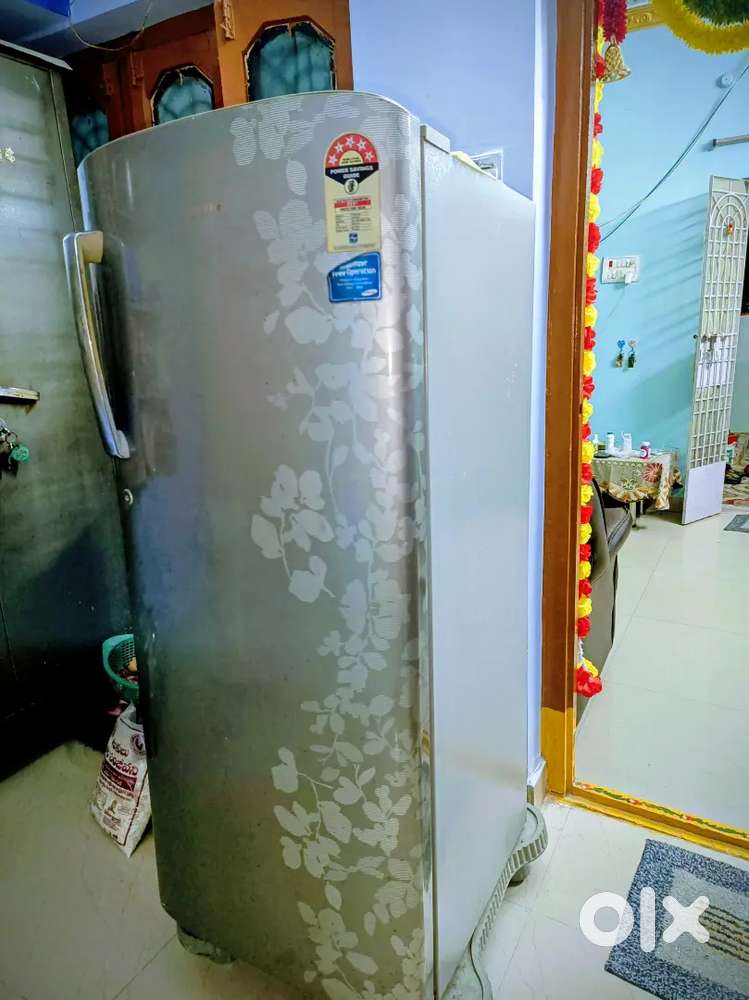 Samsung Fridge with stand