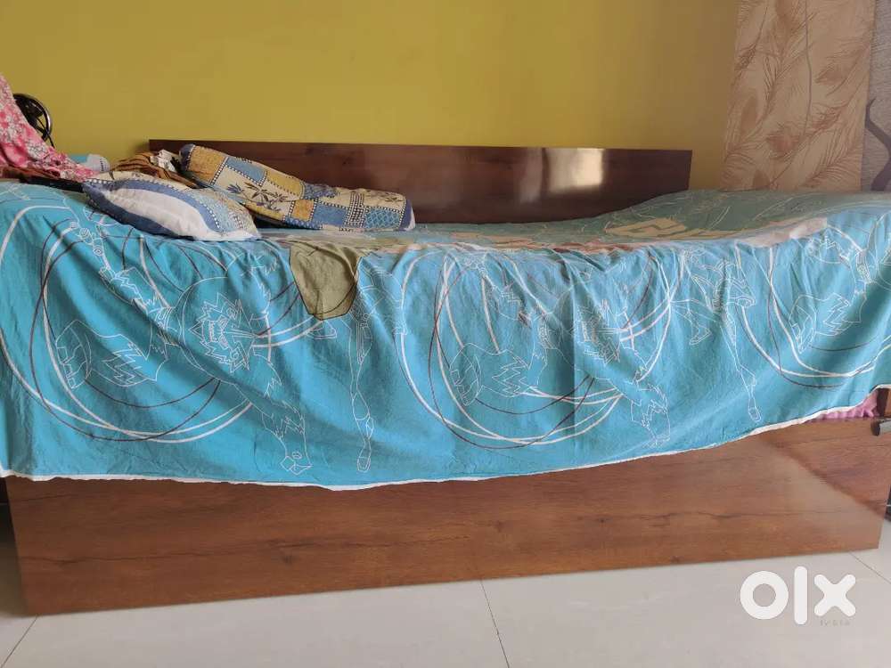 Wooden plywood Sofa cums Beds with matress