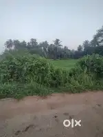 Kolya Ullal Road 20 Cents Commercial property For Sale 16 Lakhs/cents