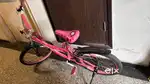 Firefox bicycle for girls
