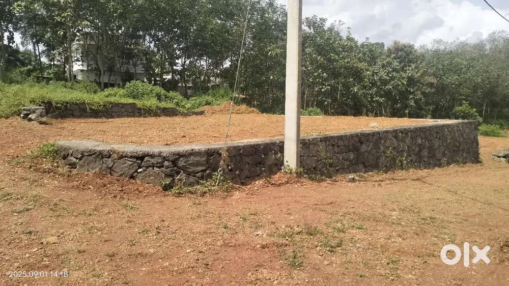 Chottanikkara Eruvely house plot for sale