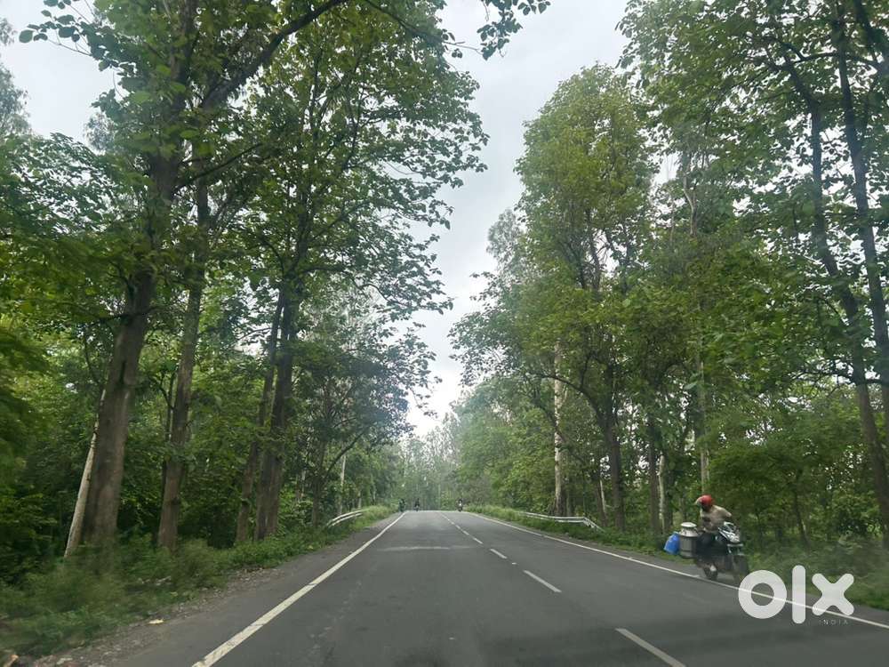 21 bigga farm house  nearby Bikaner