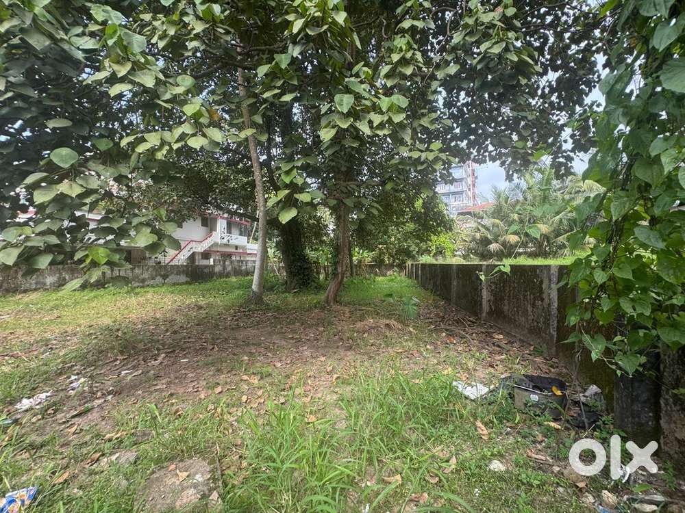 12 cent land for sale at Palarivattom Ernakulam