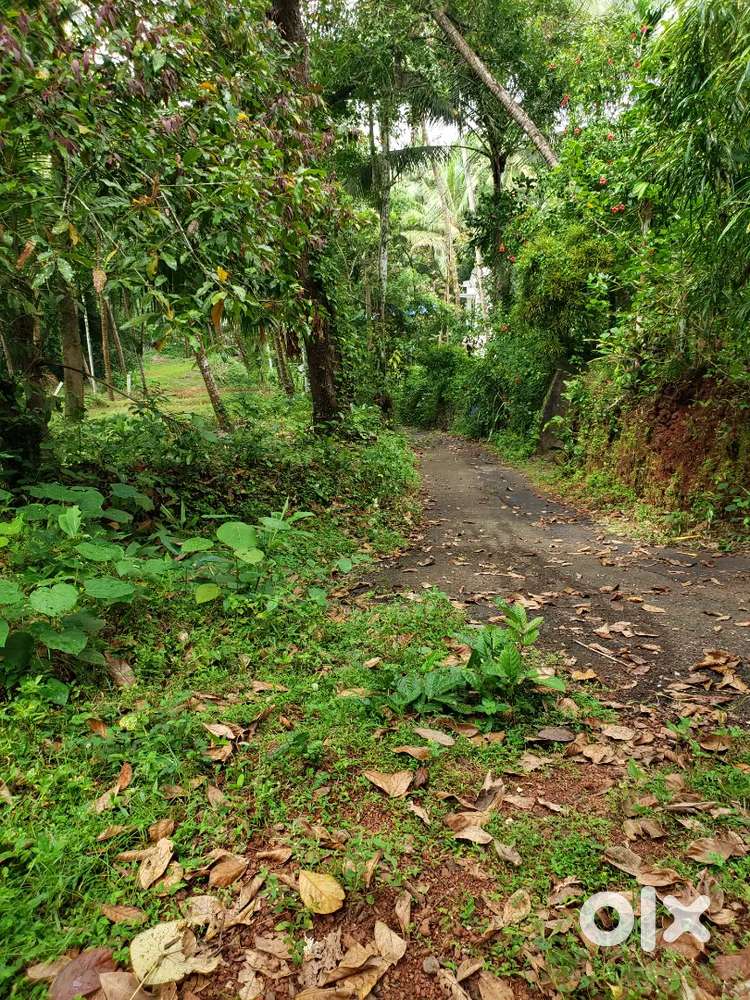 16 cent for sale,near Moodadi town vimangalam temple road