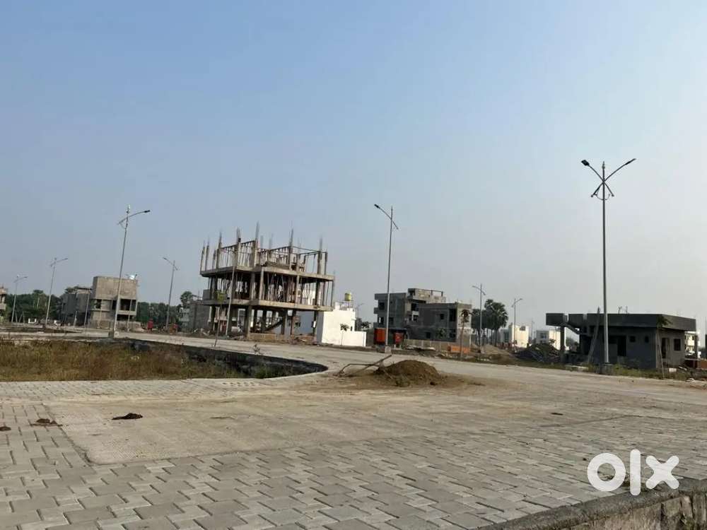 Nr Mihan NCI opposite RL NMRDA Sanction Plots