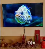 55 inch 4K TV for sale