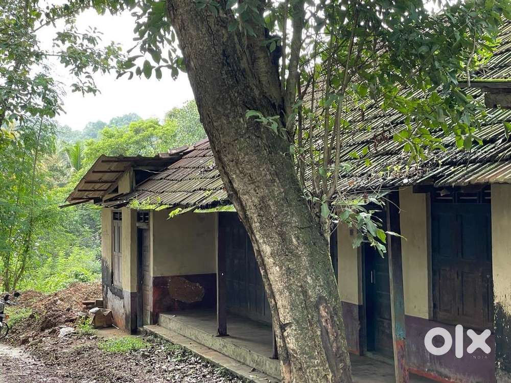 38 cent plot and old house