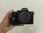 Sony A7III + Sony G 24-105mm f4 + Canon 135mm f2 + other accessories