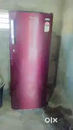 5 foot 5 inch 290 leter