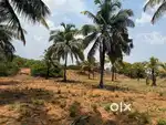 5 acre scenic property