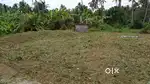 ഇരിഞ്ഞാലക്കുട ഈസ്റ്റ്‌ കൊമ്പാറ 6 സെന്റ് Housing Plot വില്പനക്ക്