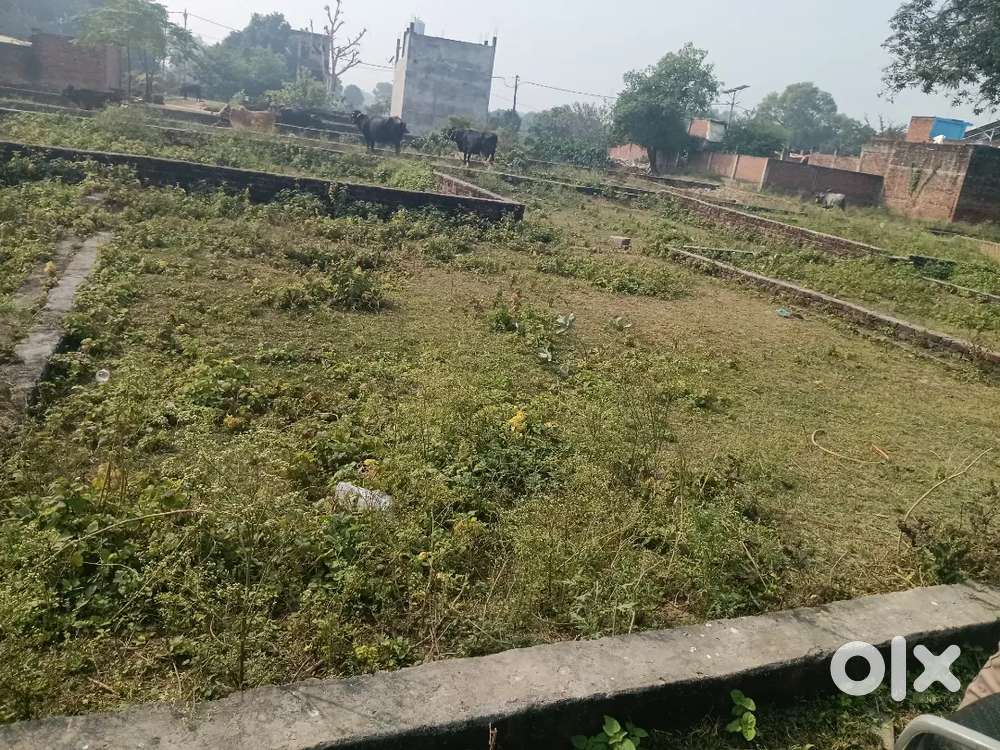 Bahut achha plot road se 50 miter ki duri par