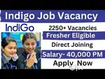\\ apply freshers candidate 10,12 pass \\ T \\