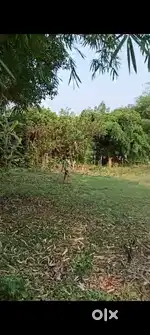 23 Katha Bastu Land at Budge Budge