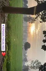 9 acre agricultural land for sale in ropar