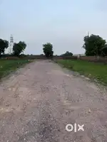 100 गज Plot  sec 36 sohna