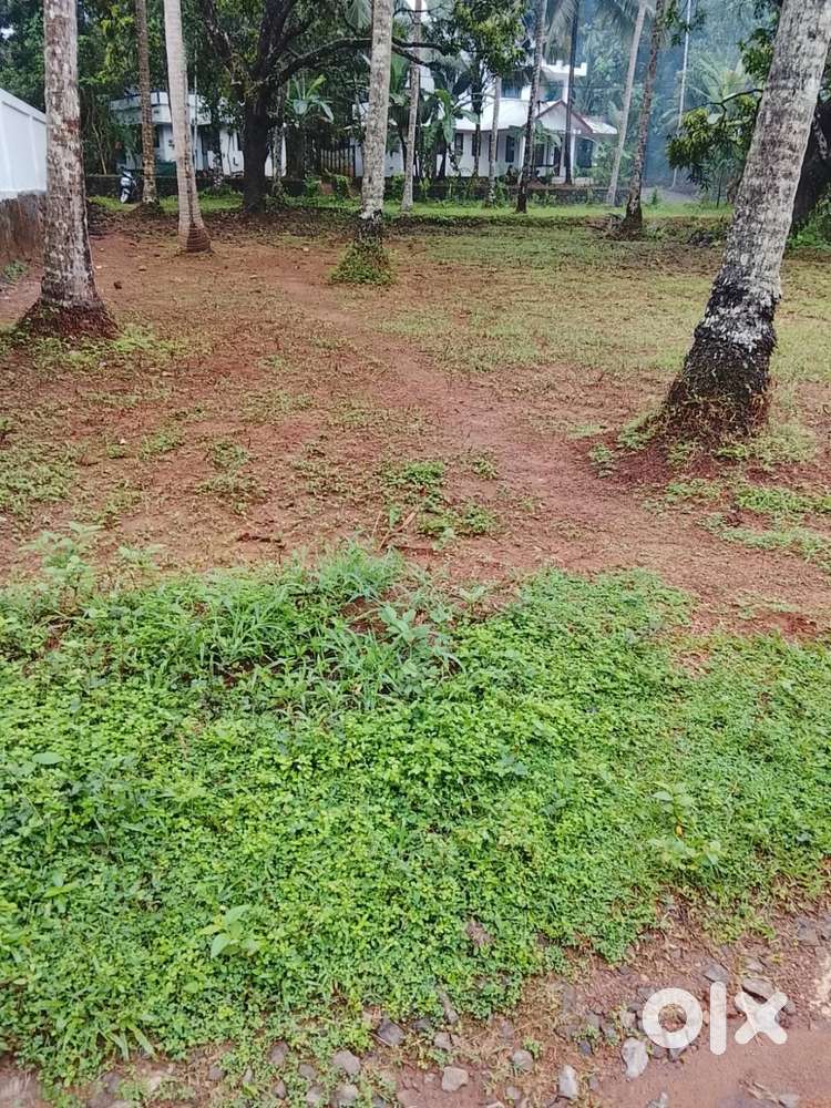 RESIDENTIL LAND FOR SALE THONDAYAD CALICUT