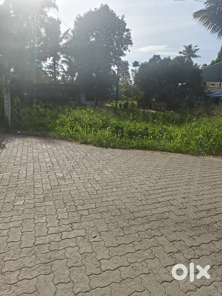30 Cent Residential/Commercial Land for Sale Vengola, Perumbavoor