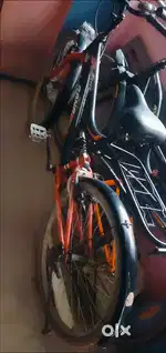 Best cycle
