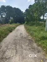 50 cents of land with double side road