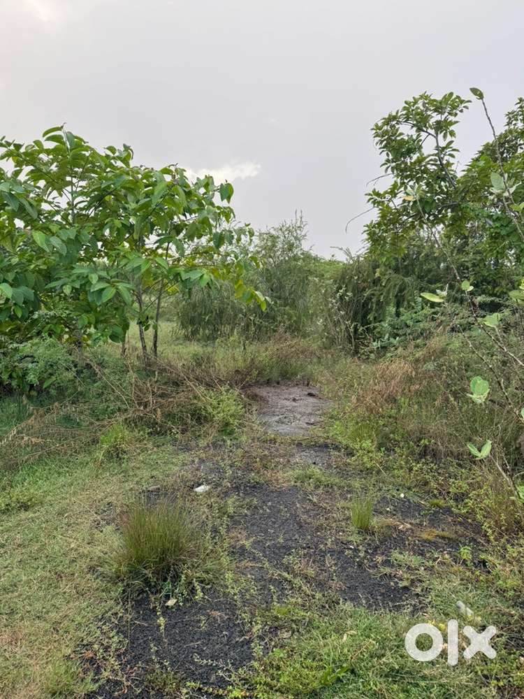 1025 sq ft Patta land for sale in Adhanur Urapakkam
