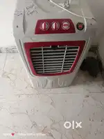 Summer special