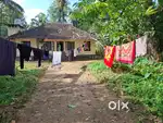 40 cent land for sale near Aluva Kottappuram