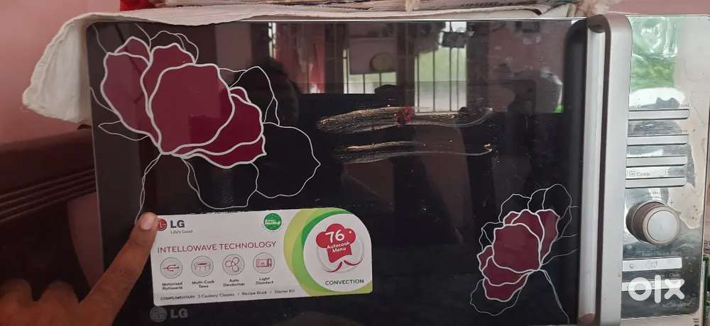 Microwave Oven Conventional model