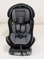 Car Seat Rabbit