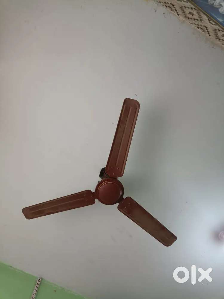 Siling fan acchi hawa hai only 6 months chal rha Cooper me hai