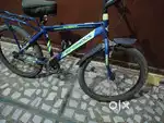 Infernouse parrot bicycle