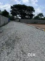 It's fully developed area near to white field