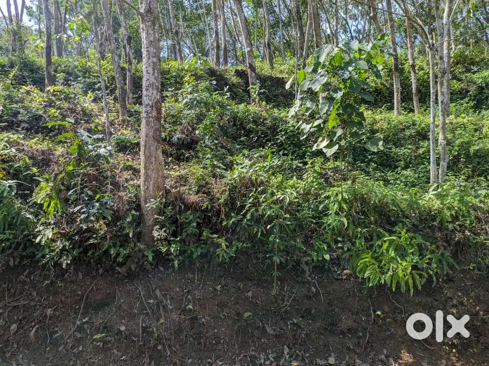 Sale for 86 cent near vellanadu, Kuthirakulam