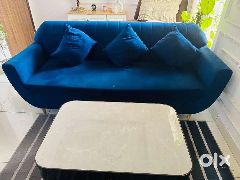 Sofa and Coffee Table