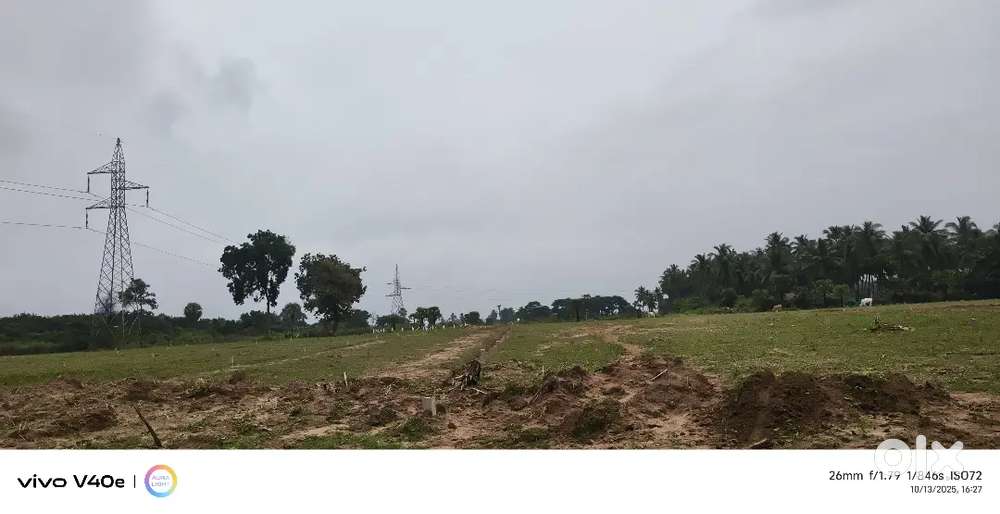 రాజమండ్రి  గాడాల్లో ఇల్లు స్థలాలు అమ్మకనికి కలదు..108 గజాలు. 7 లక్షలు