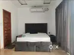 Furnished 1bhk / Studio apartment  with terrace in chandigarh