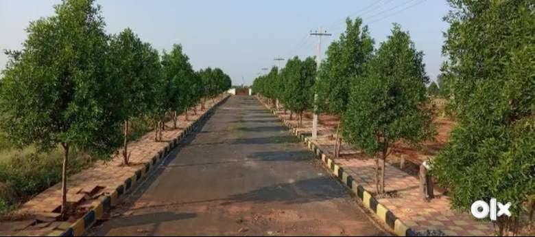 Diwali Offer! A-Khata Plots @ ₹1099/sqft – Book Now