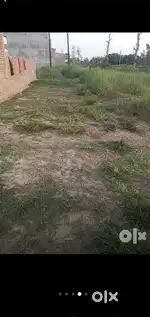 Nh 29 hotel ke bagal  me sonoli rode kimpirgnj