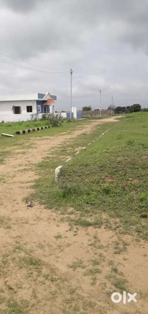 100 sq.yards open plot at pamena village chevella