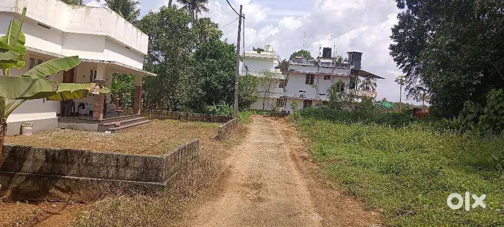 ANGAMALY PULIYANAM NEAR BY,5,6,8, 10 CENT PLOTS AVAILABLE
