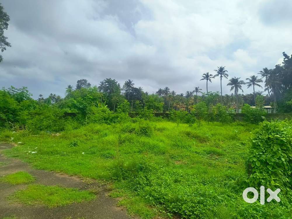 Near nedungadu karamana