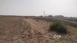 5acre land in industrial area in moti chirai