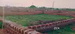 Near Pitapalli Nh 16 To Only 200mtr Distance Residential Plot For Sale