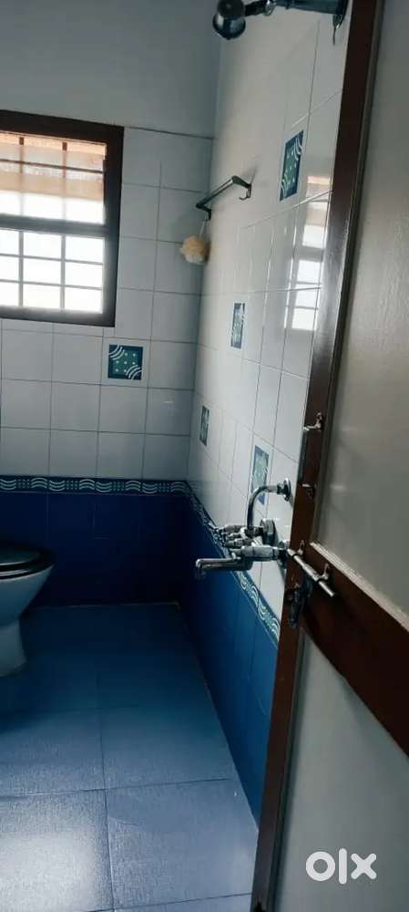 Single bed room house for rent