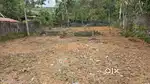 20 cent plot road side