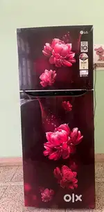 Fridge referigerator