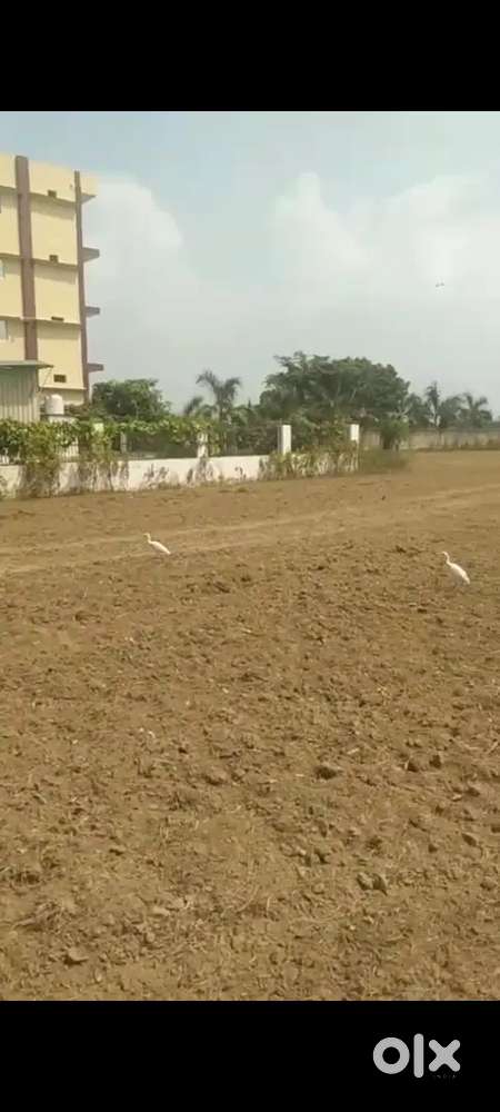 27 lac mai 100 gaj ka plot jevar airport se 15 kilometres pehle
