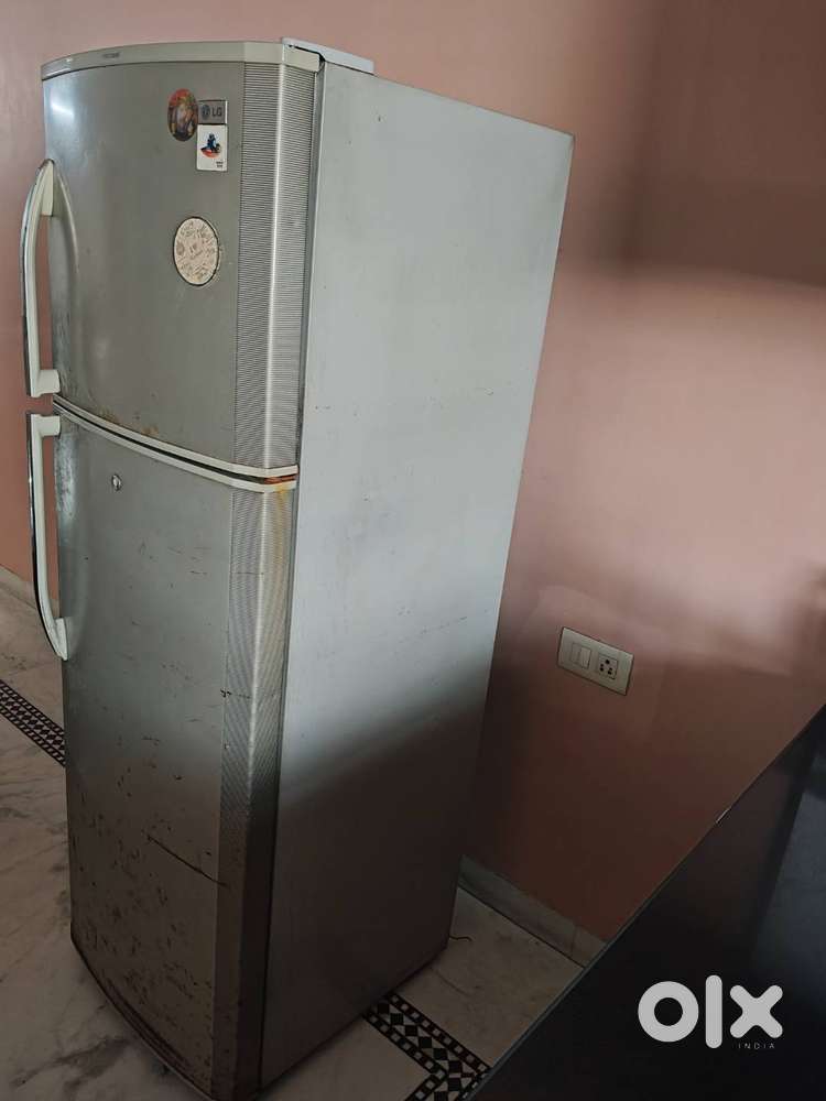 Lg double door